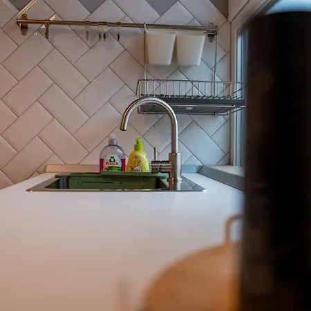 Joy Madgearu 2 טימישוארה