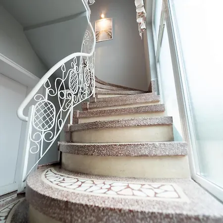 Joy Madgearu 2 Τιμισοάρα