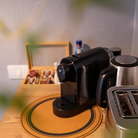 דירה Joy Madgearu 2