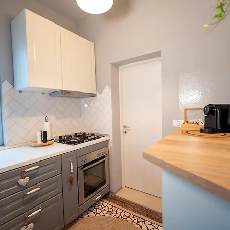 Joy Madgearu 2 Τιμισοάρα