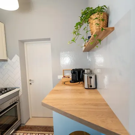 Joy Madgearu 2 דירה