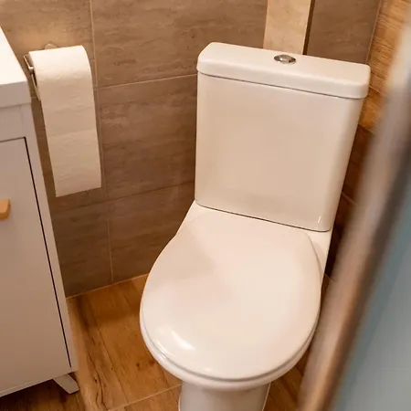 Joy Madgearu 2 * טימישוארה