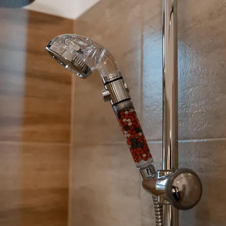 Joy Madgearu 2 * Τιμισοάρα