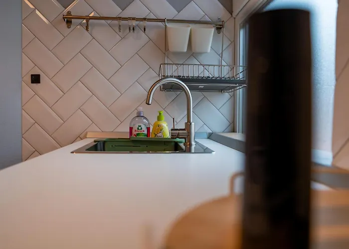 Joy Madgearu 2 Timişoara