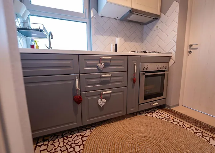 Joy Madgearu 2 * Timişoara