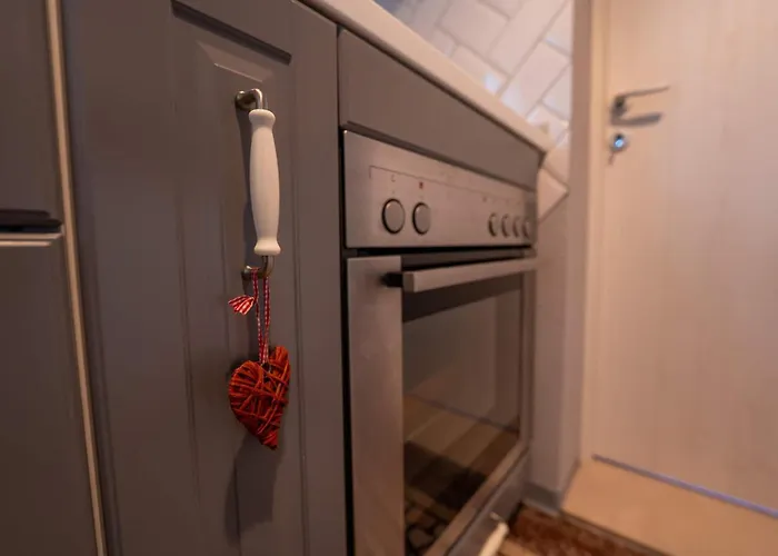 Apartamento Joy Madgearu 2 Timişoara