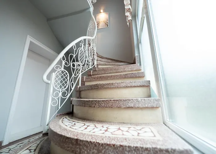 Joy Madgearu 2 Timişoara