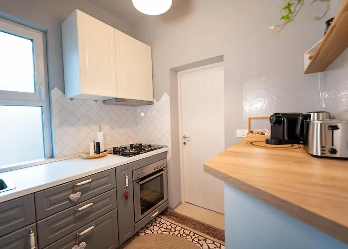 Joy Madgearu 2 Timişoara