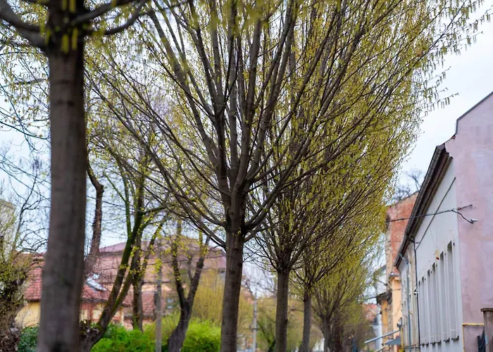 Apartamento Joy Madgearu 2