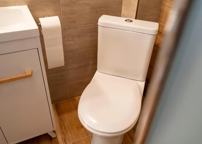 Joy Madgearu 2 * Timişoara