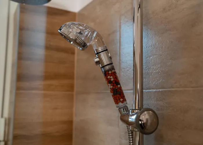 Joy Madgearu 2 * Timişoara