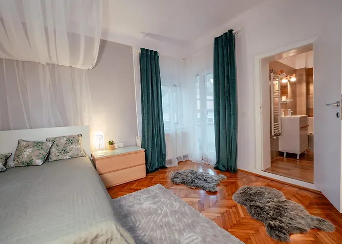 Joy Madgearu 2 Timişoara